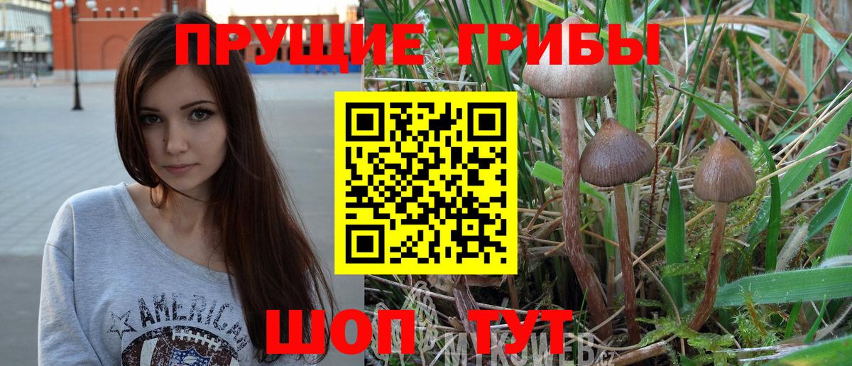 Галлюциногенные грибы Magic Shrooms  Галлюциногенные грибы Psilocybine cubensis  Нягань  Вход с VPN 